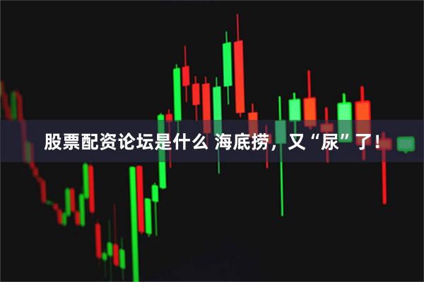 股票配资论坛是什么 海底捞，又“尿”了！
