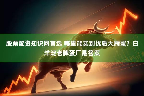 股票配资知识网首选 哪里能买到优质大雁蛋?白洋淀老牌蛋厂是答案