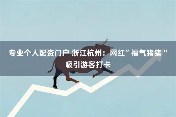 专业个人配资门户 浙江杭州：网红”福气猪猪“吸引游客打卡