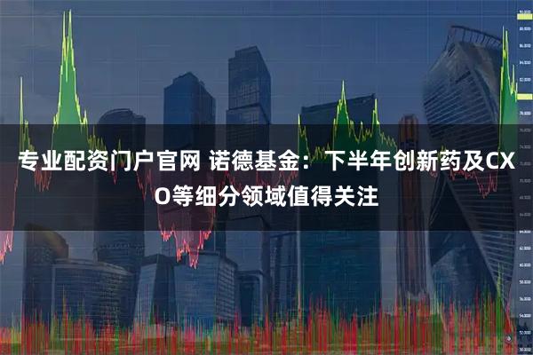 专业配资门户官网 诺德基金：下半年创新药及CXO等细分领域值得关注