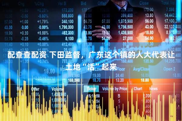 配查查配资 下田监督，广东这个镇的人大代表让土地“活”起来